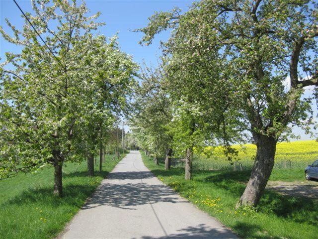 Apartament Schoenfelder Königstein an der Elbe
