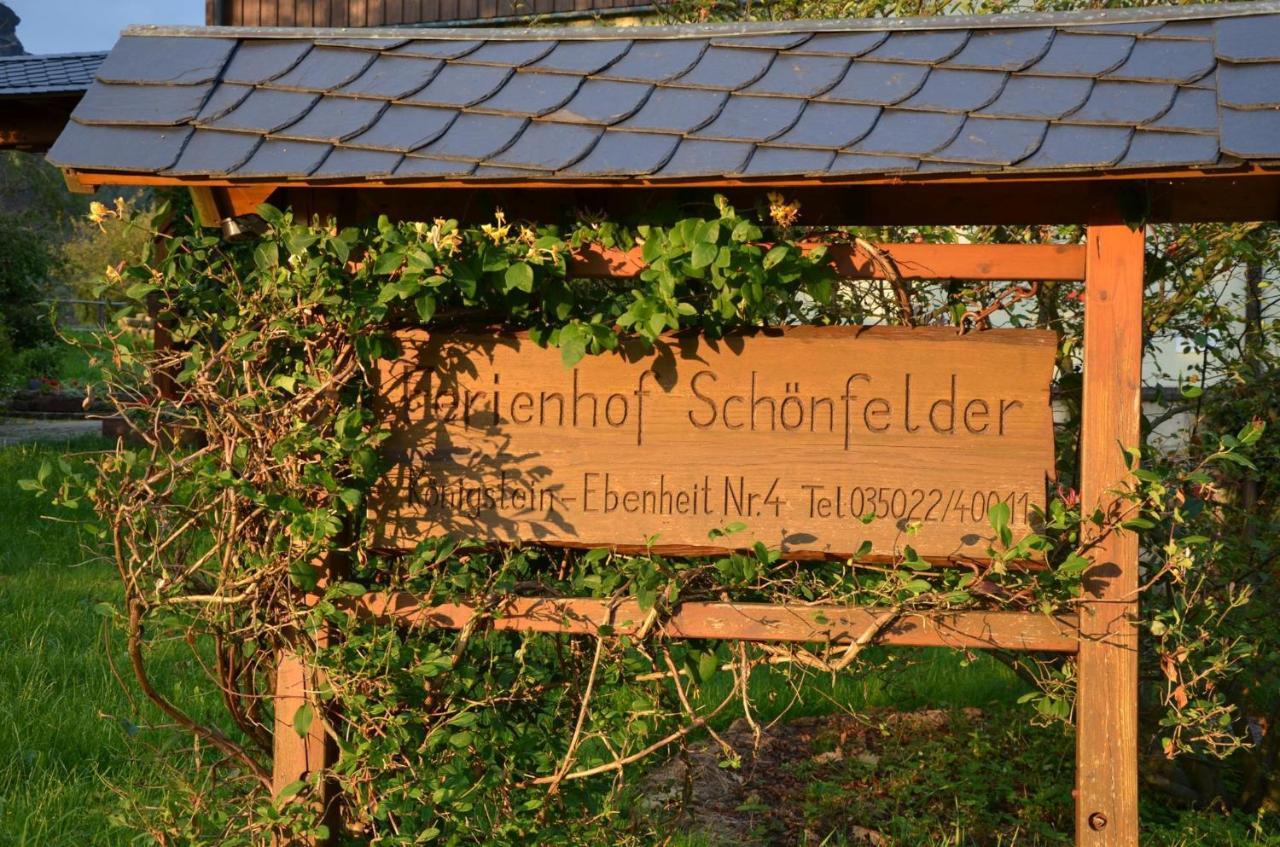 Schoenfelder