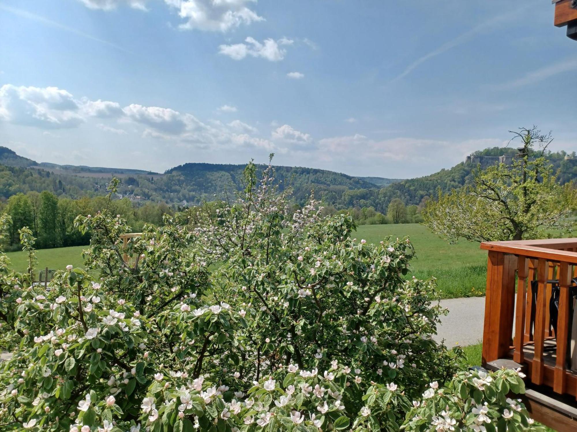 Schoenfelder Apartment Konigstein an der Elbe